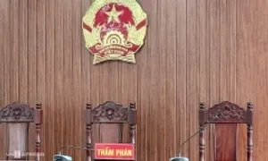 Làm gì khi thắng kiện nhưng mãi không được đền tiền?