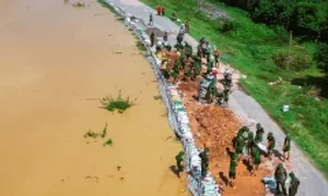 Bắc Ninh đắp hàng loạt đê ngăn lũ sông Cầu Bắc Ninh đắp hàng loạt đê ngăn lũ sông Cầu